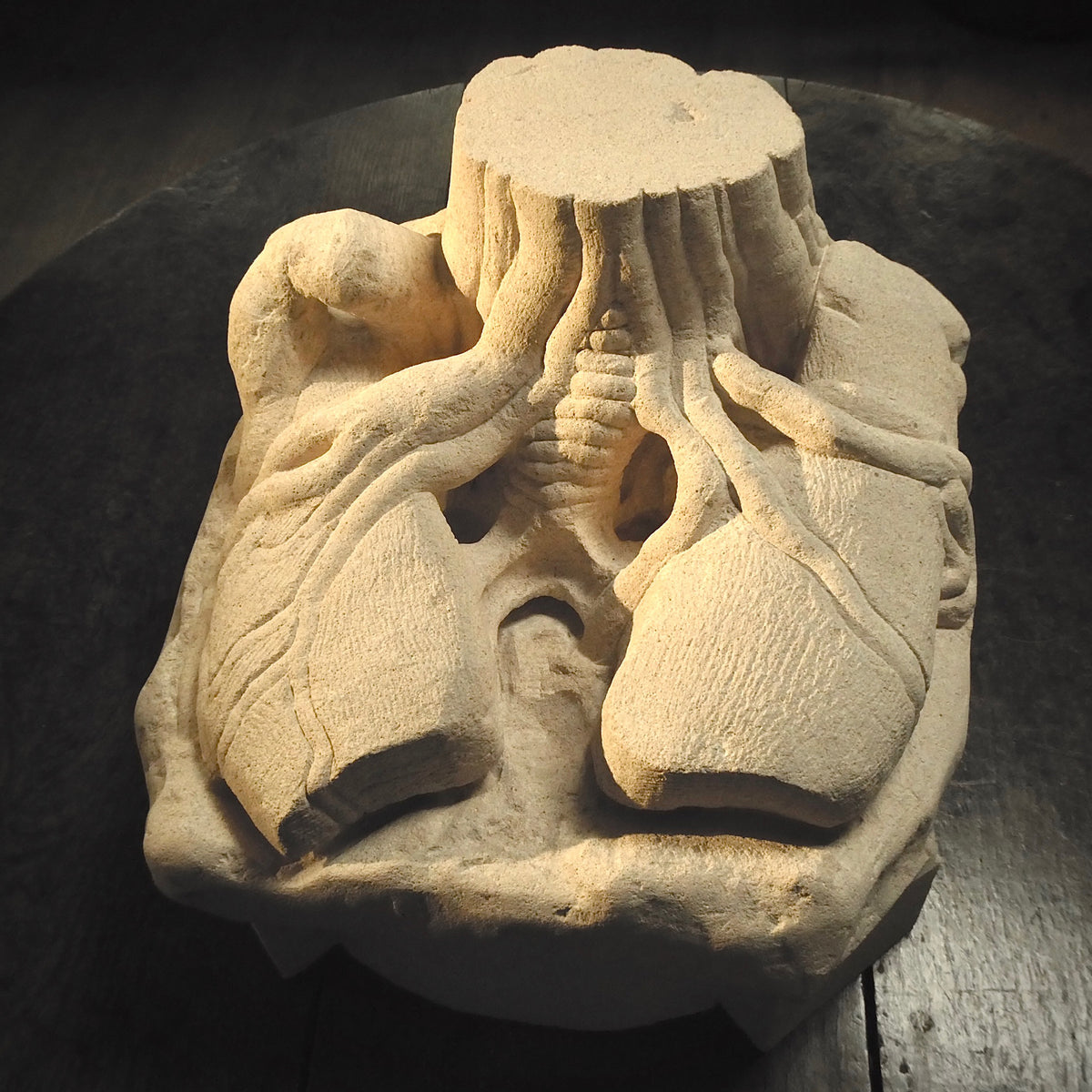Miscellaneous – Austyn Fine Strange & Remarkable Objects